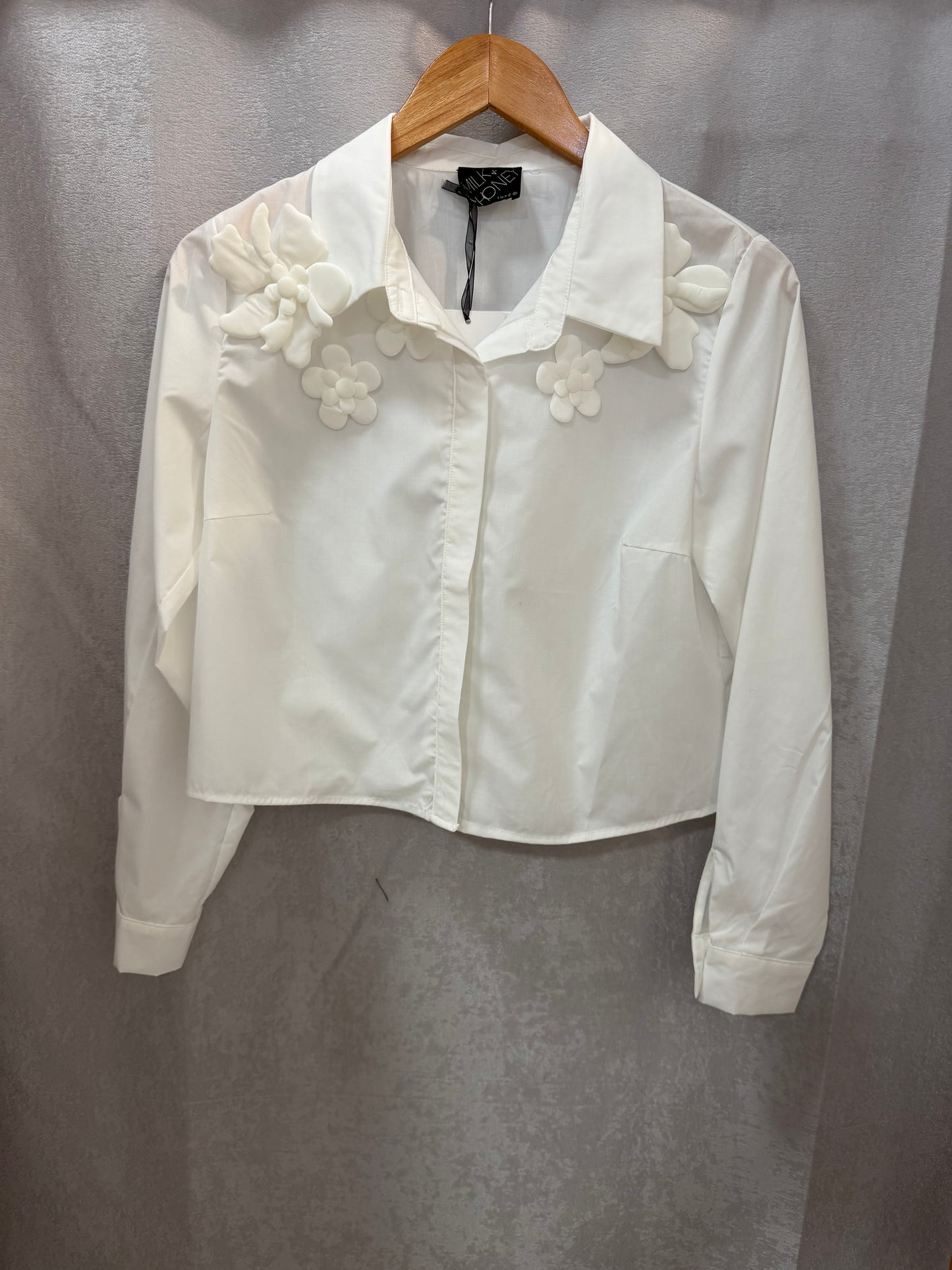 Luxe Blouse