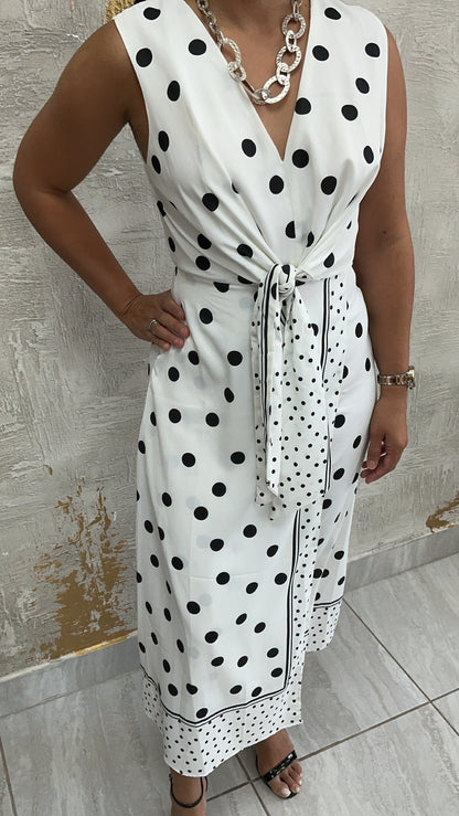 Nori polka Dress